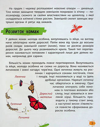 Книга для дітей "Мініенциклопедія. Комахи та павуки" | Віват, фото 4
