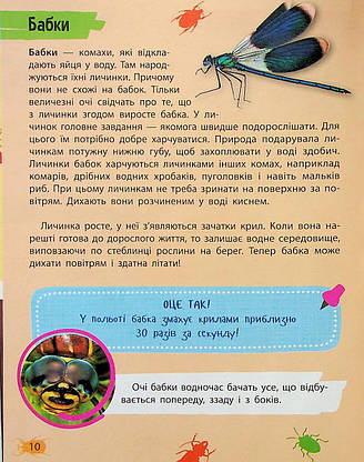 Книга для дітей "Мініенциклопедія. Комахи та павуки" | Віват, фото 5