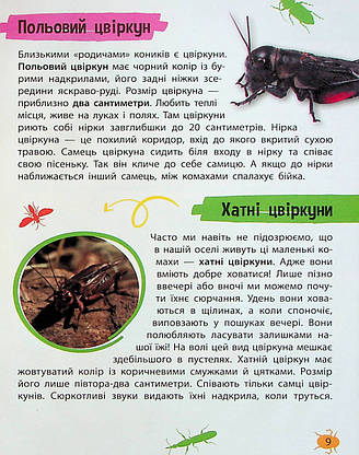 Книга для дітей "Мініенциклопедія. Комахи та павуки" | Віват, фото 6