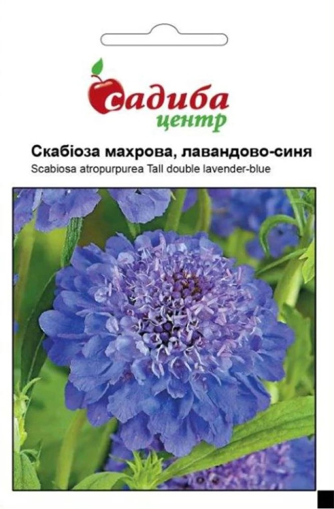 Насіння скабіози Махрова лавандово-синя, 0,2 г, Садиба