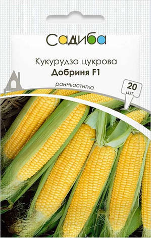 Насіння кукурудзи цукрової Добриня F1, 20 шт., Садиба, фото 1
