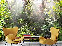 Сучасні фото шпалери для дому "Тропічний ліс" ,флізелінові фотошпалери  з малюнком