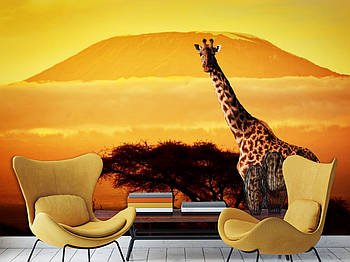Дитячі флізелінові фотошпалери на стіну "Африка, жираф" , 3D фото шпалери