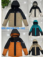 Куртка дитяча демісезонна пряма з капюшоном для хлопчика 6-10 років, колір уточнюйте під час замовлення