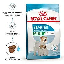 Сухий корм для цуценят ROYAL CANIN MINI STARTER для малих порід в період відлучання 8 кг, фото 4