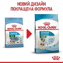 Сухий корм для цуценят ROYAL CANIN MINI STARTER для малих порід в період відлучання 8 кг, фото 6