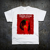 Футболка Fruit of the Loom Билли Айлиш Billie Eilish 116 см (97385) TS, код: 7584962