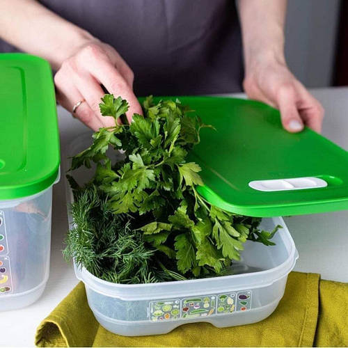 Контейнер Tupperware «Умный холодильник» низкий (1,8 л) (ID#2111038387 ...