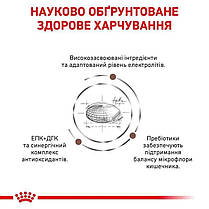 Сухий корм для собак ROYAL CANIN GASTROINTESTINAL DOG з гострими розладами травлення 15 кг, фото 4