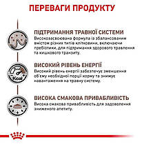 Сухий корм для собак ROYAL CANIN GASTROINTESTINAL DOG з гострими розладами травлення 15 кг, фото 6