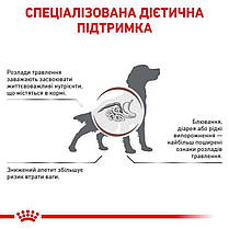 Сухий корм для собак ROYAL CANIN GASTROINTESTINAL DOG з гострими розладами травлення 15 кг, фото 3