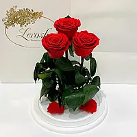 Вечные розы Lerosh под стеклом, Декоративные розы в стеклянной колбе