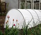 Парник теплиця 10м 50г/м2 Agreen (Польща) міні-парник з агроволкна парничок для розсади міні теплиця 10 метрів, фото 2