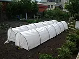 Парник теплиця 10м 50г/м2 Agreen (Польща) міні-парник з агроволкна парничок для розсади міні теплиця 10 метрів, фото 5