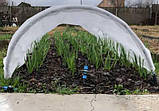 Парник теплиця 10м 50г/м2 Agreen (Польща) міні-парник з агроволкна парничок для розсади міні теплиця 10 метрів, фото 3