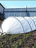 Парник теплиця 6м 50г/м2 Agreen (Польща) міні-парник з агроволкна парничок для розсади міні теплиця 6 метрів, фото 7