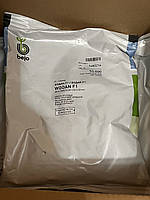 Буряк столовий ВОДАН F1 Bejo 50 000 шт (700 - 850 гр.)