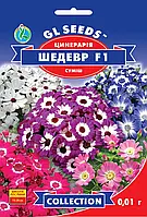 Цинерарія квітуча Шедевр F1 суміш кімнатна рослина відрізняється рясним яскравим цвітінням, упаковка 0,01 г