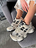 Стильні бежеві жіночі кросівки на потовщеній підошві, легкі чорно-сірі кросівки з екошкіри