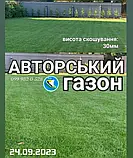 Елітний газон преміум класу витривалий ліліпут насіння газонна травосуміш гном, фото 6