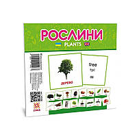 Карточки мини развивающие для детей "Мир растений" 145596 (110×110 мм.)