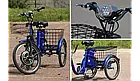 Електровелосипед триколісний SKYBIKE 3-CYCL 350W 36V Скайбайк трицикл, фото 6