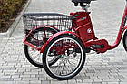 Електровелосипед триколісний SKYBIKE 3-CYCL 350W 36V Скайбайк трицикл, фото 7