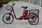Електровелосипед триколісний SKYBIKE 3-CYCL 350W 36V Скайбайк трицикл, фото 11