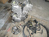 Двигун Honda Transalp 600, фото 5