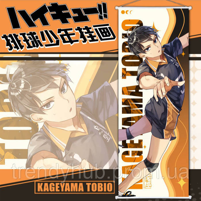 Гобелен Тобио Кагеяма Kageyama Tobio Волейбол Haikyu (21191) Bioworld LP, код: 8235943 - фото 2 - id-p2134540714