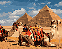 Картина за номерами "Символи для Єгипту" 48x60 3v1 Малювання Живопис Розмальовки (Голода)