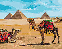 Картина по номерам "Египетский колорит" 48x60 3v1 Рисование Живопись Раскраски (Животные, птицы и рыбы)