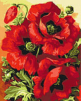 Картина по номерам "Печать в маках" 48x60 3v1 Рисование Живопись Раскраски (Цветы)