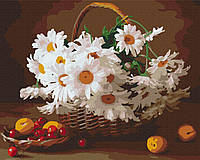 Картина по номерам "Полевые ромашки" 48x60 3v1 Рисование Живопись Раскраски (Цветы)