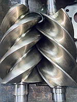 Ремонт гвинтового блоку Ceccato