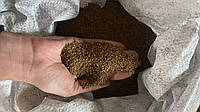 Семена люцерны сорту "Банат" опт от 100 кг