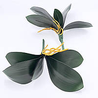 Листья орхидеи Люкс 25см
