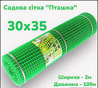 Сітка пластикова 30х35мм 2х100м зелена для саду та огорожі свійської птиці