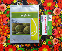 Насіння дині Макабео F1 (Syngenta), 500 насінин — середньостигла (85-90 днів), овальна, тип Пієл де Сапо