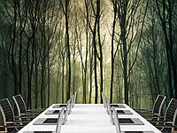 Флизелиновые фотообои 3д для зала " Лес в тумане", обои для декора дома