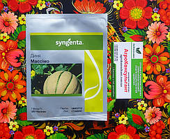 Насіння дині Массімо F1 (Syngenta), 500 насінин — середньостигла (75-85 днів), овальна, тип Канталупе