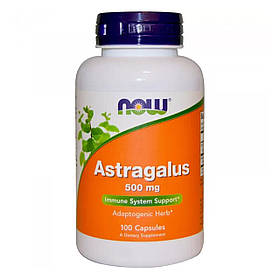 Астрагал (Astragalus) 500 мг 100 капсул NOW-04605