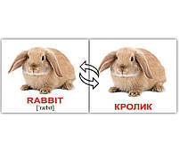 Розвиваюча гра Картки Домана Англо-російська валізка «Вундеркінд з пелюшок» - 10 наборів арт. 096181, фото 3