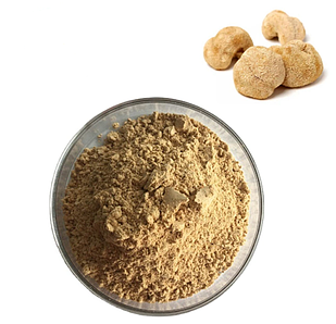 Їжовик Гребінчастий Порошок, 100гр. (Левова грива, Геріцій).