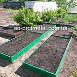 Грядки оцинкованні з ніжками., фото 4