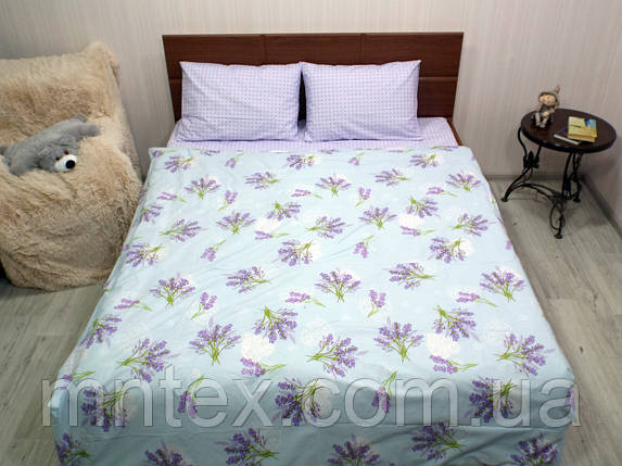 Комплект постільної білизни бязь Голд Французські простори, фото 1