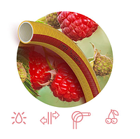 Шланг Патриот Fruit+Berry 1/2-50м