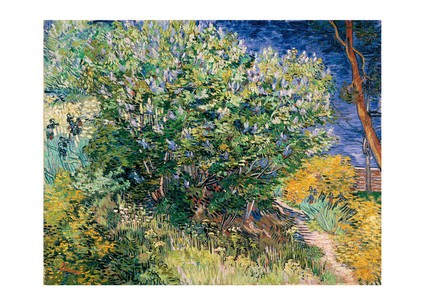 Листівка Vincent van Gogh — Lilac Bush