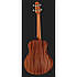 Harley Benton GS-Travel-E Bass Spruce, фото 3