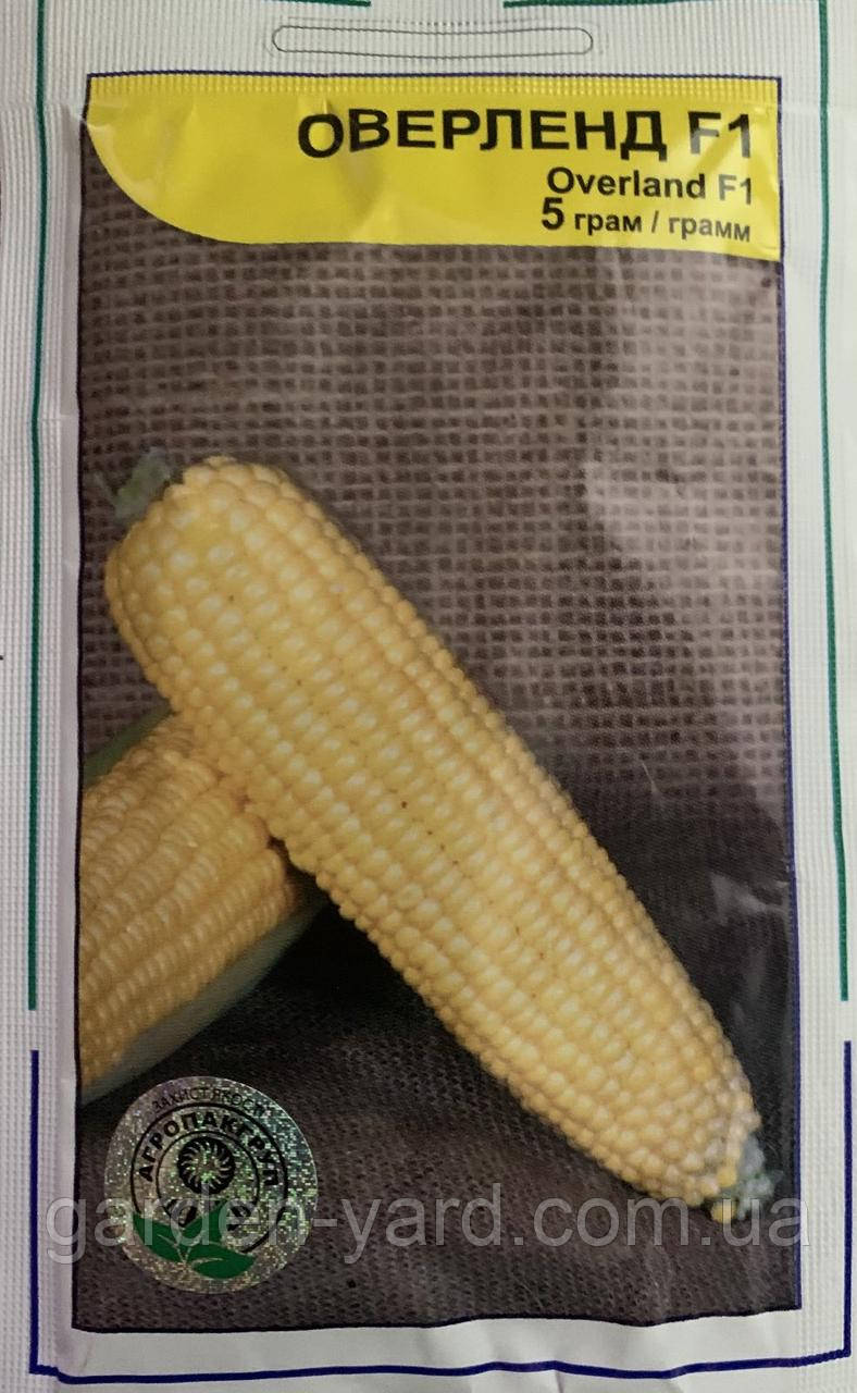 Насіння кукурудза цукрова Оверленд F1 5 г. Syngenta Голандія